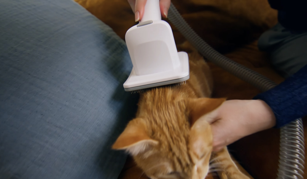 Offre spéciale : Aspirateur de toilettage pour animaux / Kit 5 en 1
