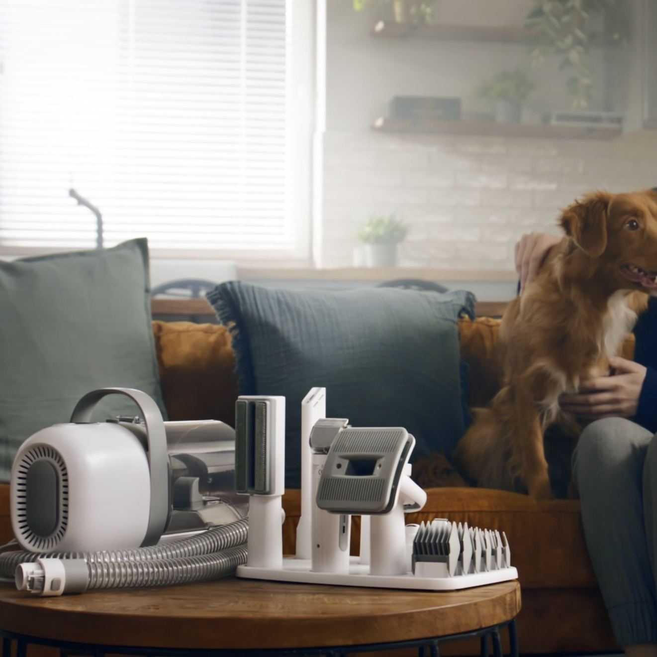 Offre spéciale : Aspirateur de toilettage pour animaux / Kit 5 en 1