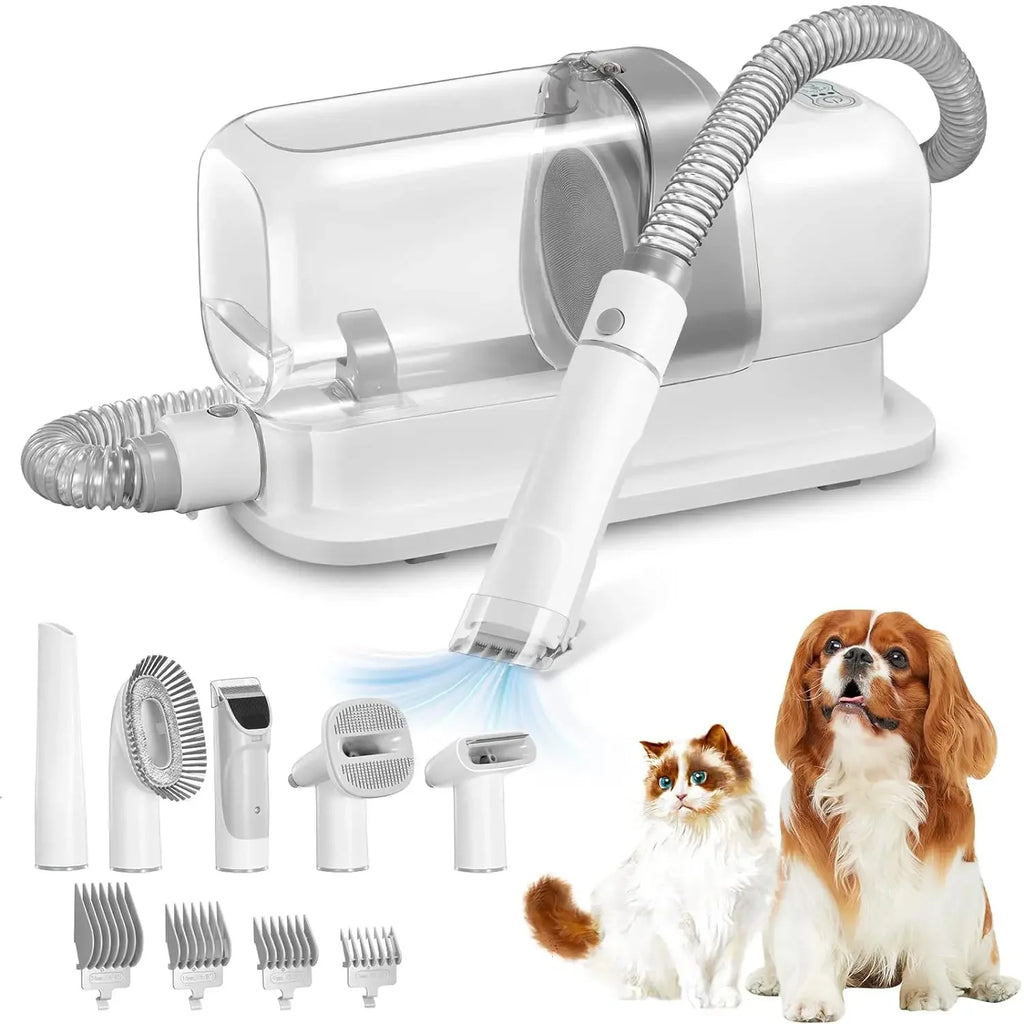 Offre spéciale : Aspirateur de toilettage pour animaux / Kit 5 en 1