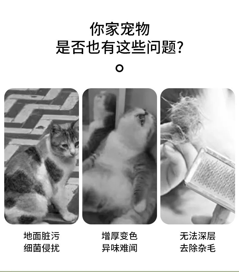 Peigne de toilettage électrique amélioré pour animaux de compagnie, épilation flottante à la vapeur, brosse de nettoyage à vapeur, accessoires de style pour chiens et chats