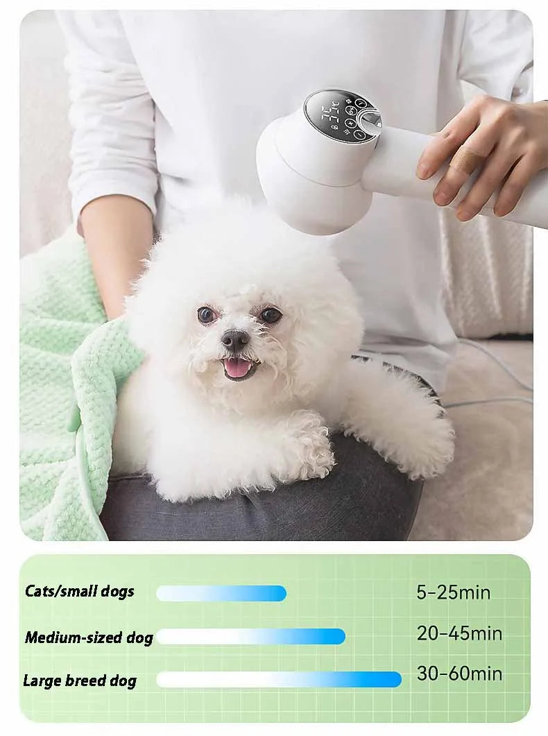Sèche-cheveux pour animaux de compagnie, sèche-cheveux pour chien et chat, fournitures de soins pour chiots, peigne spécial pour petit chien, machine de séchage portable, accessoire de séchage pour animaux de compagnie