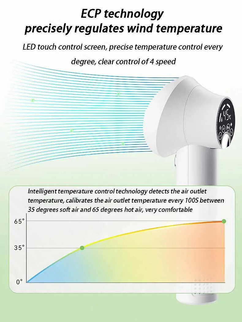 Sèche-cheveux pour animaux de compagnie, sèche-cheveux pour chien et chat, fournitures de soins pour chiots, peigne spécial pour petit chien, machine de séchage portable, accessoire de séchage pour animaux de compagnie